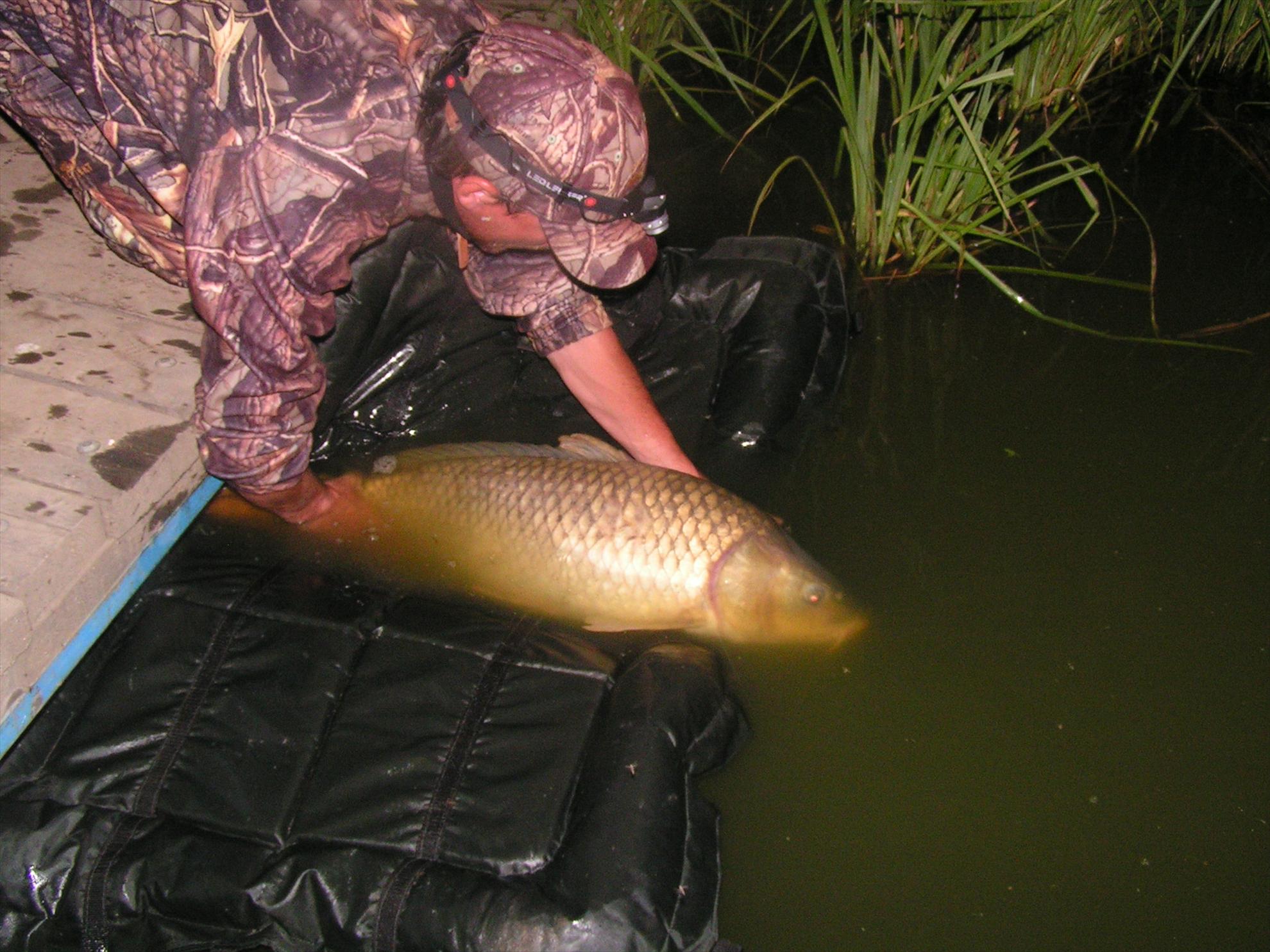 Lates 9-10.07.2012 - pict0855.JPG